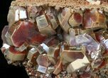 Large Vanadinite Crystals on Matrix - Morocco #42203-3